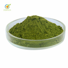 Top Quality Food Grade Nature Moringa Oleifera Powder Price